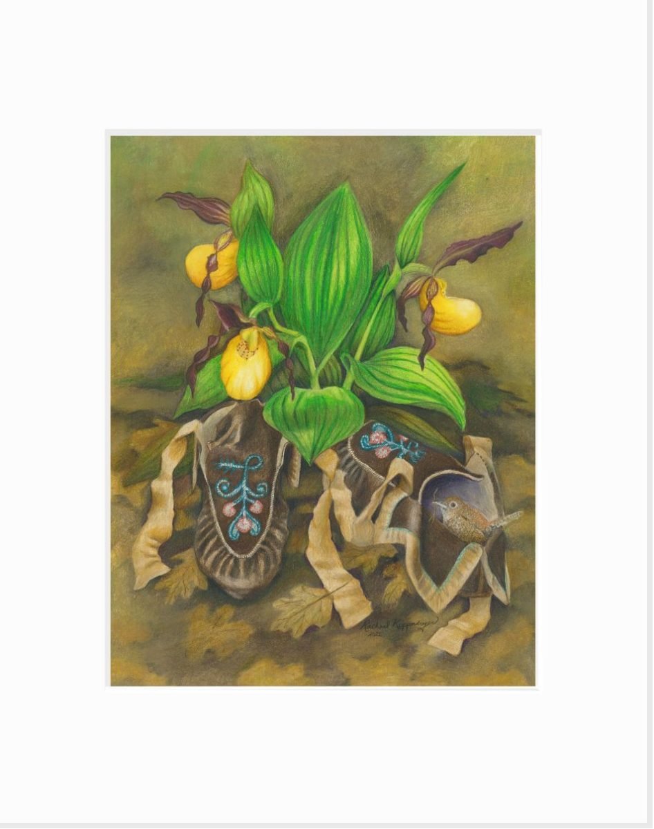 Giclee print of a wren building a nest in a lost moccasin under yellow lady's slipper plants