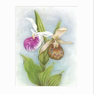 Giclee print of a showy lady slipper with a Dakota-inspired moccasin flower