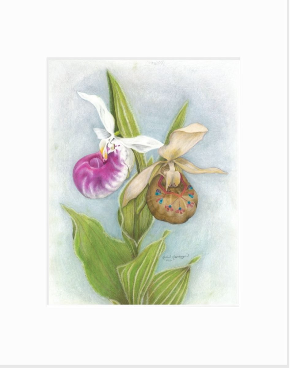 Giclee print of a showy lady slipper with a Dakota-inspired moccasin flower