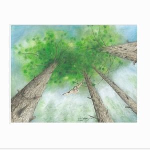 Giclee print of a a great horned owl swooping down from the boughs of Norway/red pine trees