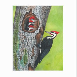 Matted print of a male pileated woodpecker and three baby woodpeckers leaning out the nest toward him