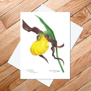 Greeting card of a yellow lady slipper flower