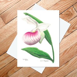 Greeting card of a showy lady slipper flower