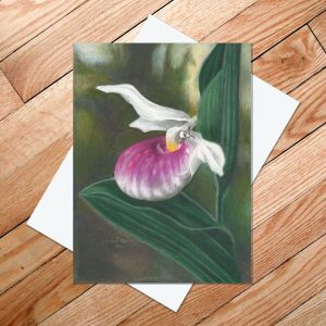 Greeting card of a showy lady slipper with a small bee emerging from the pouch