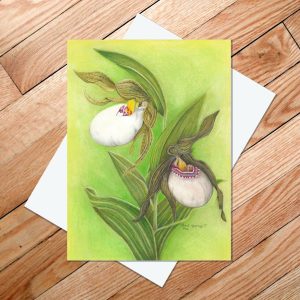 Greeting card of small white lady's slipper with a Dakota-inspired moccasin flower