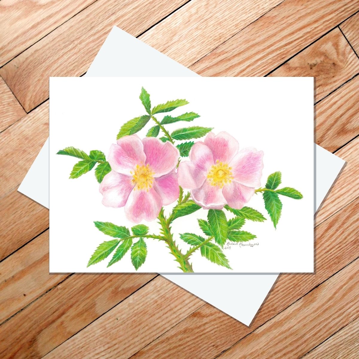 Greeting card of two blossoms on a wild prairie rose