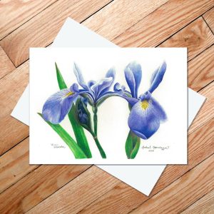 Greeting card of two blue flag iris flowers