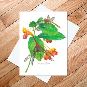 Greeting card of male and female meadowhawk dragonflies resting on spotted touch-me-nots.
