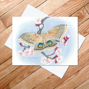 Greeting card of Polyphemus moth resting on a branch of apricot blossoms