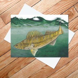 Greeting card of walleye fish just below the water's surface