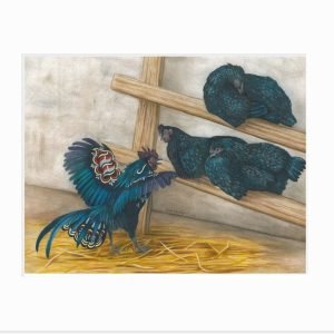 Matted giclee print of dala rooster waking up Swedish black hens
