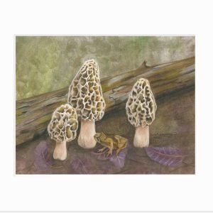 Giclee print of a spring peeper frog sitting next to three yellow morel mushrooms