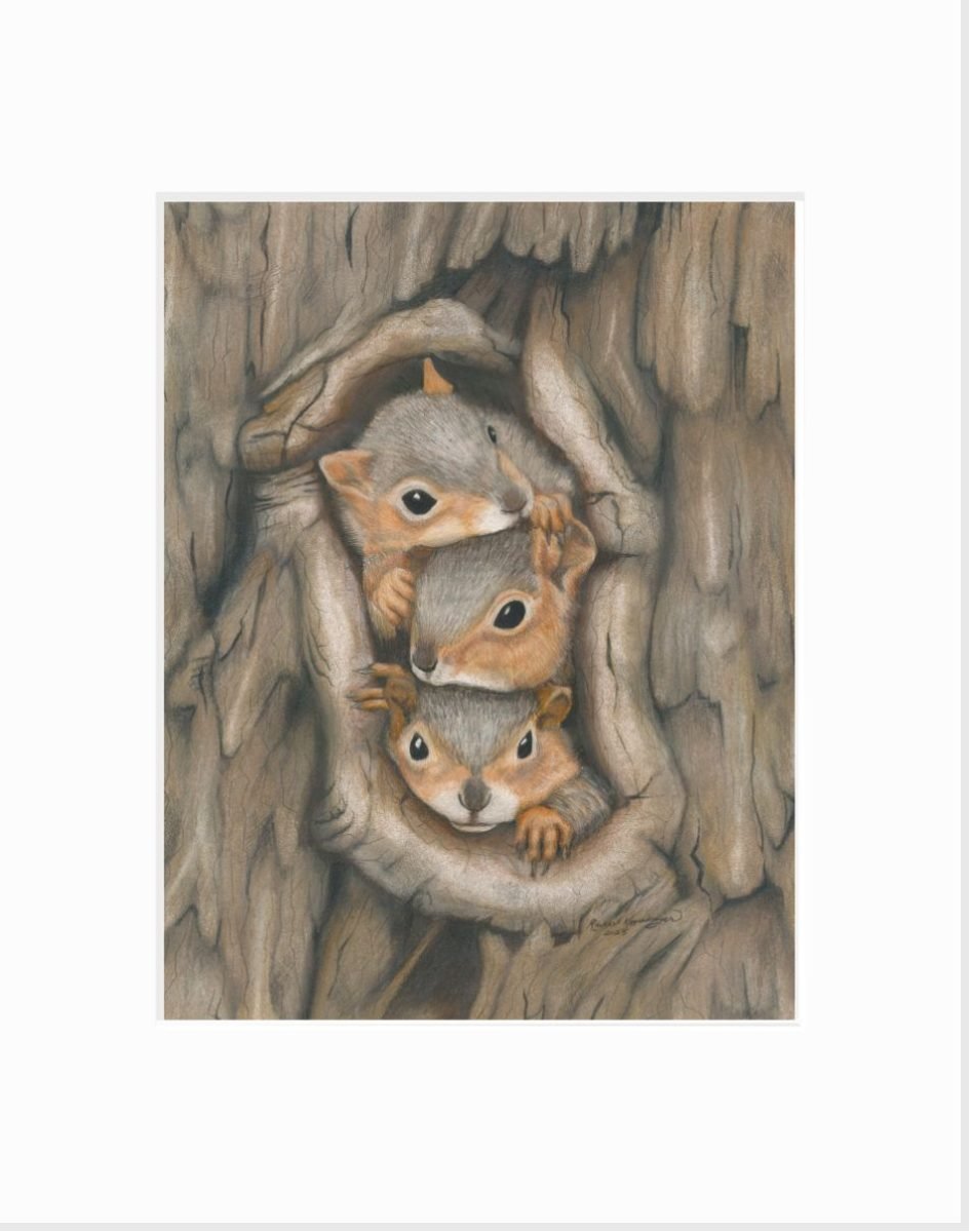 giclee print of three baby fox squirrels in various stages of irritation and boredom looking out a hole in a tree