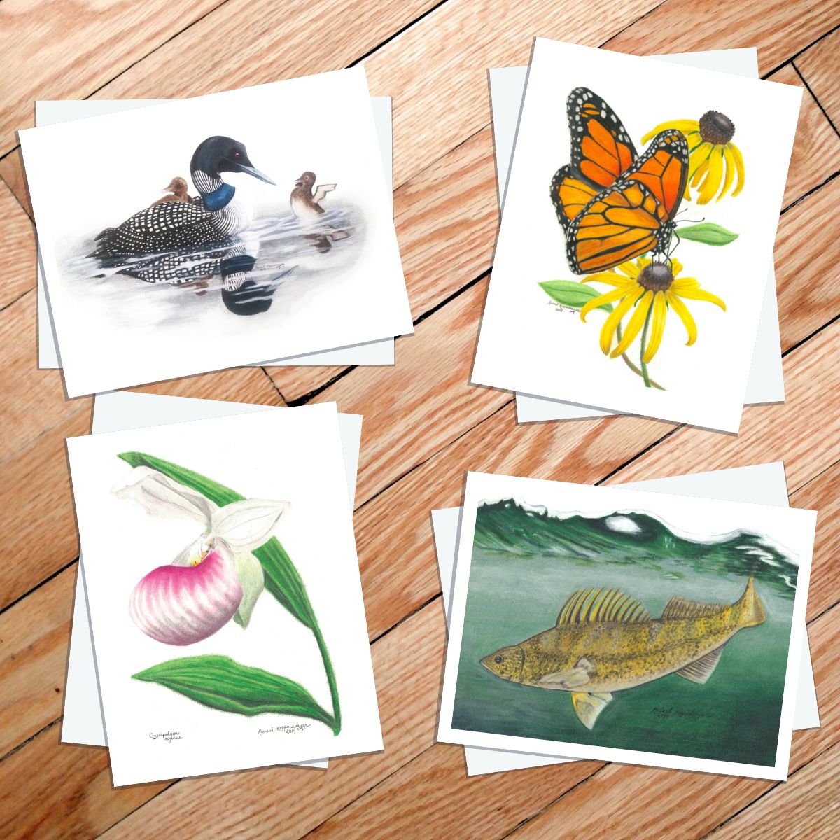 art cards of minnesota state symbols, loon, monarch, lady slipper, and walleye