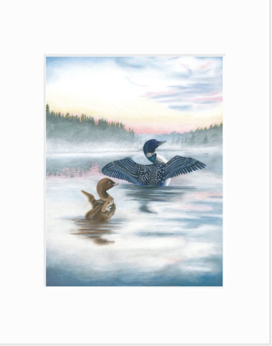 giclee print of a baby loon imitating an adult as they stretch their wings in the morning on a misty lake