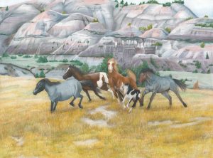 Wild Nokota horses run through Theodor Roosevelt National Park