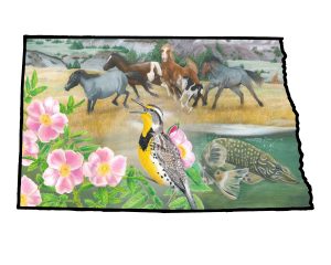 Outline of North Dakota with that state flower wild rose, state bird meadowlark, state fish Northern Pike, and state equine Nokota horse.