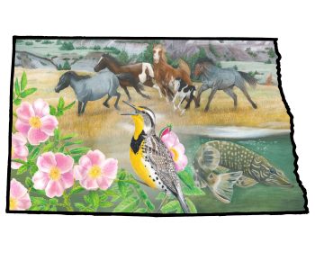 Outline of North Dakota with that state flower wild rose, state bird meadowlark, state fish Northern Pike, and state equine Nokota horse.