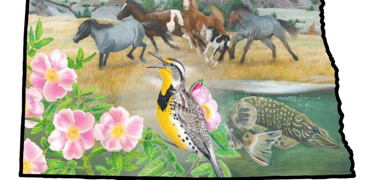 Outline of North Dakota with that state flower wild rose, state bird meadowlark, state fish Northern Pike, and state equine Nokota horse.
