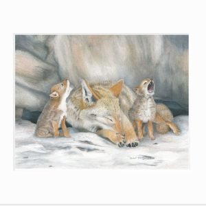 Giclee print of mama coyote trying to sleep with her cubs howling around her