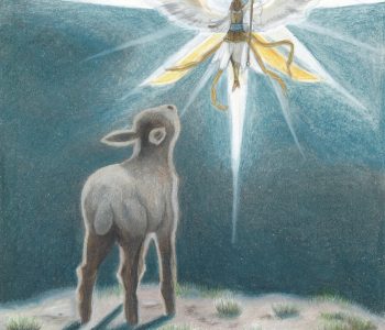 Lamb stares at an angel in the night sky