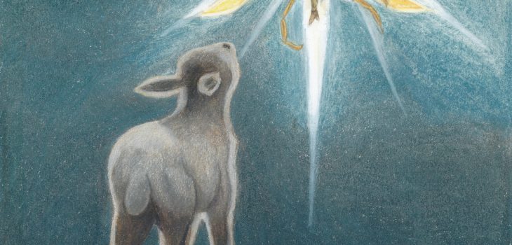 Lamb stares at an angel in the night sky