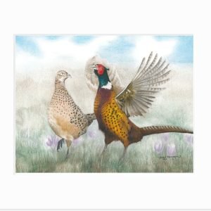 giclee print of male pheasant crowing and beating his wings to impress a hen