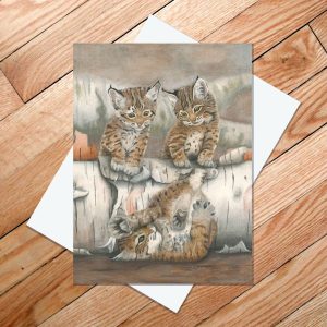 greeting card of two bobcat kittens watch the third tumble in an ungraceful heap