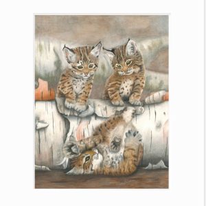 matted giclee print of three little bobcat kittens