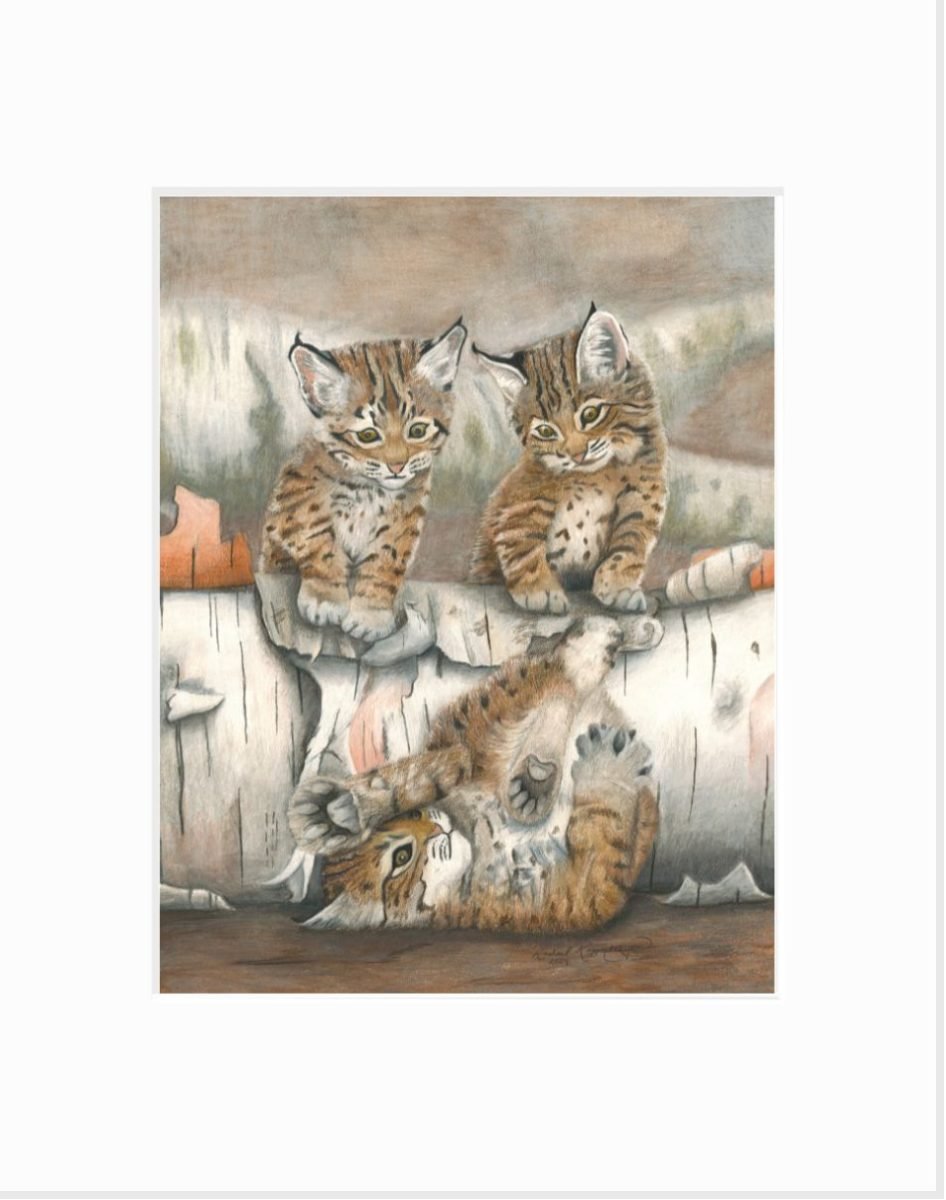 matted giclee print of three little bobcat kittens