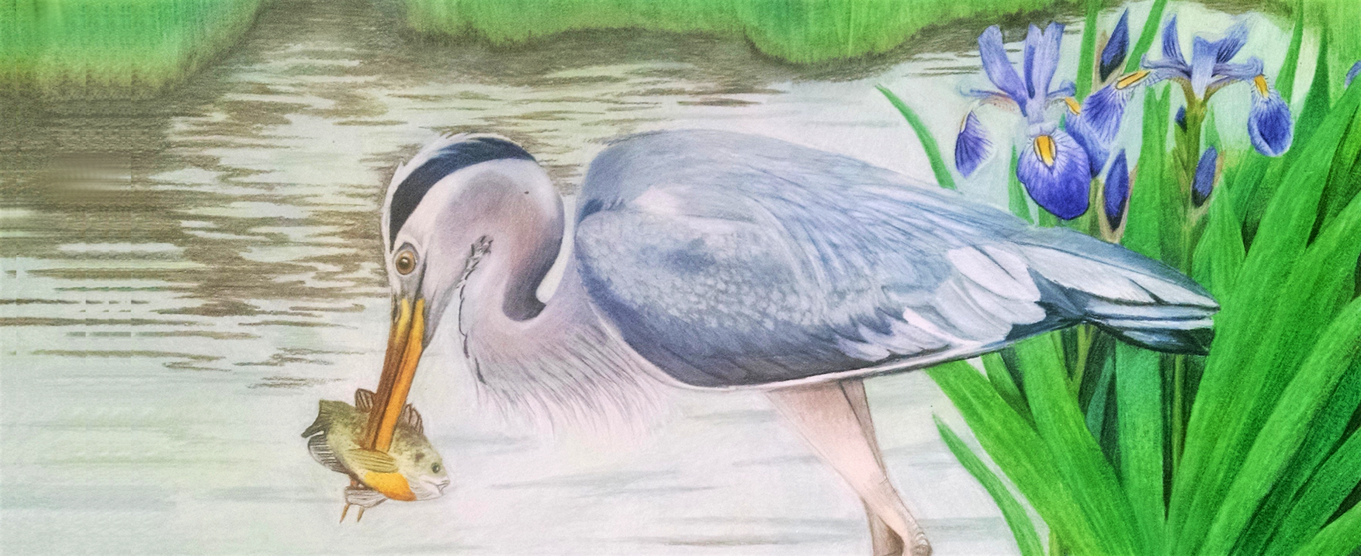 Great Blue Heron Mug - Image 3