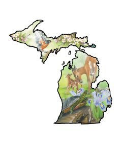 Outline of the state of Michigan with state symbols bird Robin, flower Apple Blossom, reptile Painted Turtle, game mammal Deer, and wildflower Dwarf Lake Iris