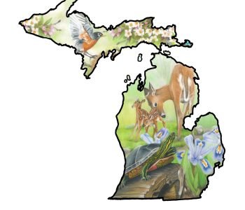Outline of the state of Michigan with state symbols bird Robin, flower Apple Blossom, reptile Painted Turtle, game mammal Deer, and wildflower Dwarf Lake Iris