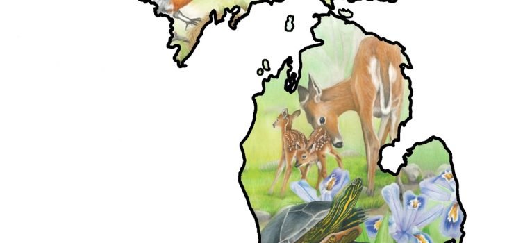 Outline of the state of Michigan with state symbols bird Robin, flower Apple Blossom, reptile Painted Turtle, game mammal Deer, and wildflower Dwarf Lake Iris