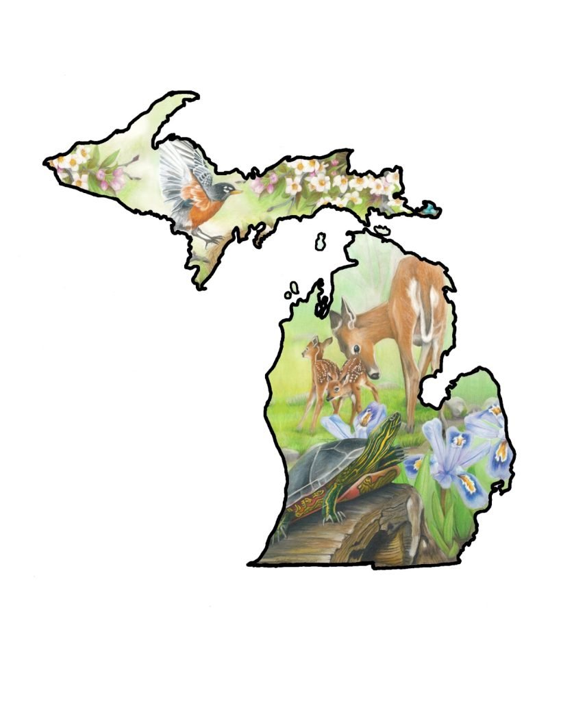 Outline of the state of Michigan with state symbols bird Robin, flower Apple Blossom, reptile Painted Turtle, game mammal Deer, and wildflower Dwarf Lake Iris