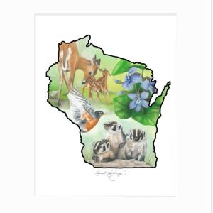 giclee print of Wisconsin outline with state symbols bagder, deer, violets, and robin inside