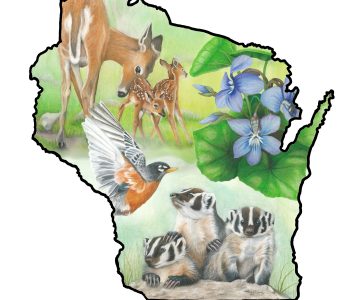 Outline of Wisconsin filled with state symbols badger, deer, violet, and robin