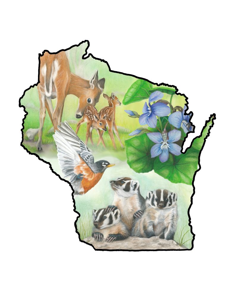 Outline of Wisconsin filled with state symbols badger, deer, violet, and robin