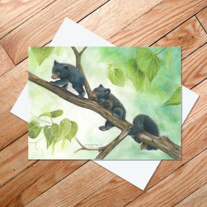 Greeting card of three black bear cubs climbing a tree branch