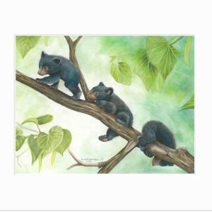 Out on a Limb Giclée Print