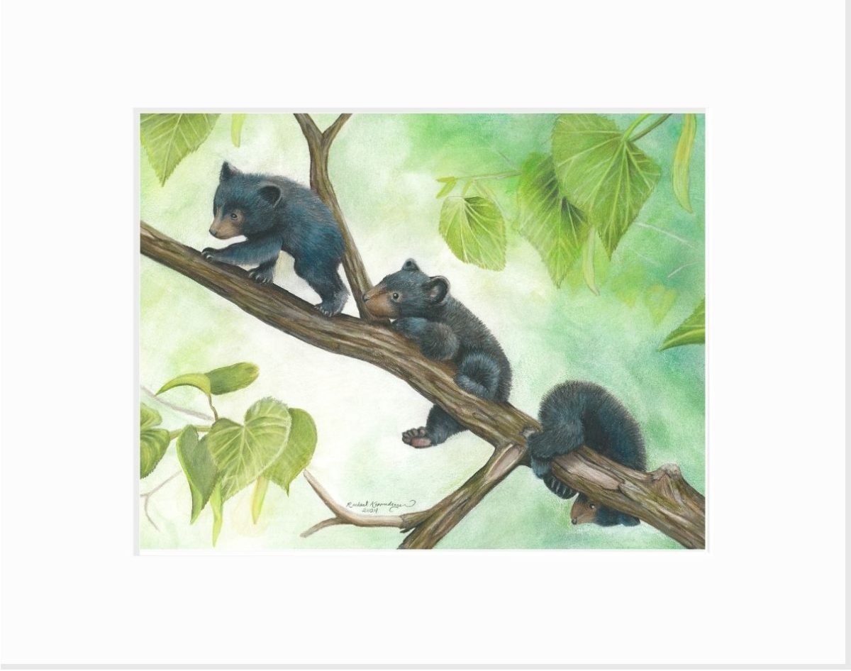 Out on a Limb Giclée Print