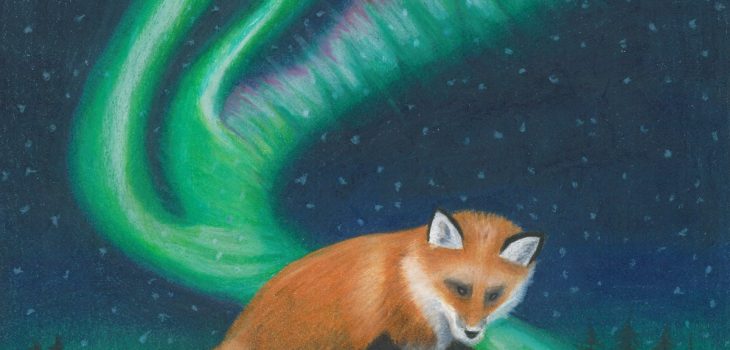 A red Finnish fox creates the Northern Lights as he chases his tail
