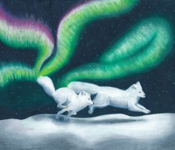 Two arctic foxes race across the snow, sparking Finland's Revontulet, also known as fox fire, or the Northern Lights