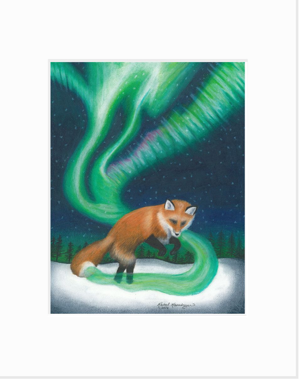 Giclee print of a red fox chasing its tail as the Northern Lights flows out of it